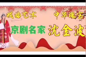 艺术家艺术人生：沈金波（智取威虎山中扮演少剑波）视频封面