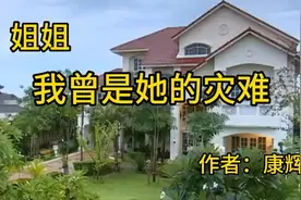 《姐姐——我曾是她的灾难》作者：康辉视频封面