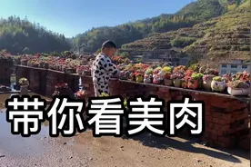 明人不说暗话，其实我真的没时间管理多肉。就连拍个照也要偷偷的视频封面