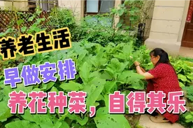 60后退休大姐养老生活早做安排！打造花园养花种菜，忙碌又开心视频封面
