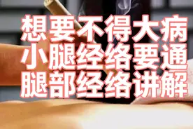 要想不得大病，腿上经络一定要通，腿部6条经络讲解视频封面