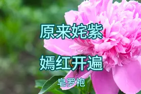 原来姹紫嫣红开遍 昆曲《牡丹亭》游园选段视频封面