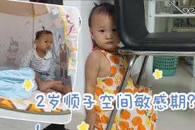 2岁顺子突然害羞，拉粑粑都不让看还躲起来，宝妈买了啥好物应对?视频封面