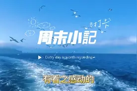 富士康上班人的观后感视频封面