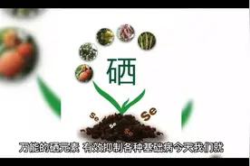 硒元素对糖尿病的健康作用