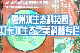 惠州水生态科技园 打卡水生态之美科普专栏视频封面