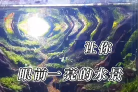 神乎其神的造景大赛前三名作品，果然眼前一亮视频封面