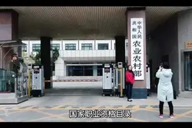 国家职业资格目录视频封面