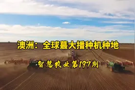 智慧农业197期：澳洲 目前全球Z大播种机种地！一分钟播15亩地视频封面
