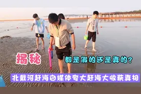 揭秘赶海类自媒体夸大赶海收获真相，他们说谎的原因是什么呢？视频封面
