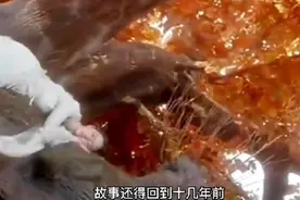 猎妖师居然爱上了妖视频封面