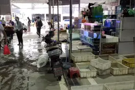国内大型观赏鱼市场，售卖的观赏鱼价格多么便宜？10元50条玛丽鱼视频封面