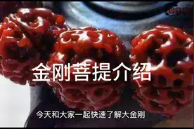 带大家了解一下金刚菩提视频封面