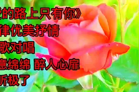 情歌对唱《爱的路上只有你》旋律优美情意绵绵醉人心扉好听极了视频封面
