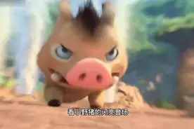 愤怒的小野猪，为什么就追着熊二不放视频封面