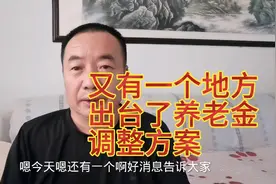 按河南省出台的退休人员2022年养老金调整方案，他今年能增加多少视频封面