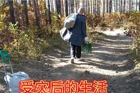 东北老头竟然这样储存萝卜。偷菜的小偷，偷到了家门口也太猖狂了视频封面