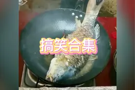 搞笑合集#锅里的鱼也太听话了视频封面