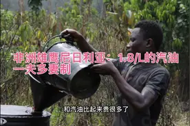 非洲雄鹰一夫多妻制的尼日利亚视频封面