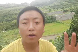 母猪咬小猪用这个神器视频封面