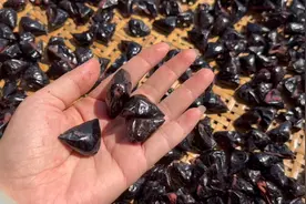 成品黑榄是怎样加工而成？这种简单易学的加工方法，终于学会了视频封面