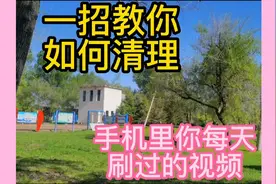 分享清理手机里头条号和西瓜视频里每天刷的短视频。视频封面