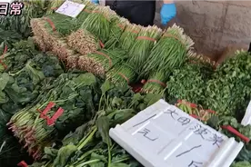 青岛蔬菜跌价第一名非韭菜莫属，看头刀韭菜多钱一斤？大吃一惊视频封面