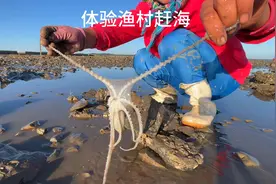 村里的风光都在村外，海边渔村租房天天赶海，抓八爪鱼捡海螺过瘾视频封面