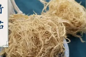 竹茹有清热化痰除烦止呕安胎凉血的功效治疗肺热咳嗽惊悸胃热呕呃视频封面