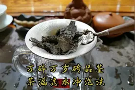 独家秘笈:万碎万岁砖品鉴 茶漏滤水冲泡法视频封面