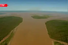 视频丨习近平在山东东营考察黄河入海口视频封面