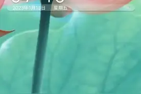 教你怎么下载迷你世界老版本