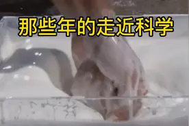 走近科学：用科学解释诡异的事情！视频封面