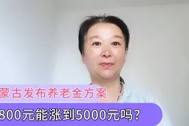 养老金消息，内蒙古发布养老金调整方案，4800元能涨到5000元吗？视频封面