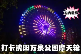 辽宁省最高摩天轮，高88米，30元一人转一圈16分钟，体验感觉不值视频封面