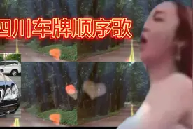 四川车牌号排序歌视频封面