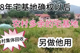 农村宅基地确权以后，多余的宅基地如何处理？！视频封面