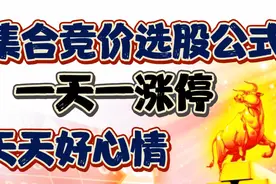 A股：集合竞价选股公式，一天一涨停，天天好心情！现学现用！视频封面