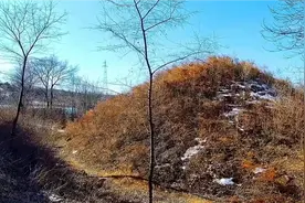 辽宁朝阳山坡下发现一座土堆，高大壮观荒草枯黄，是块风水宝地视频封面