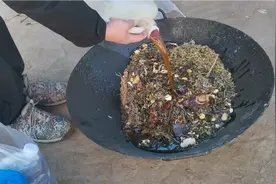 老王夜熬黑膏药视频封面