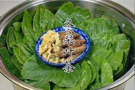 霜降后的桑叶放锅里蒸一蒸，原来作用这么厉害，常喝好吃多多视频封面