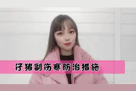 仔猪副伤寒常见有败血型，肠炎型，怎样区分？如何防治？看这里视频封面