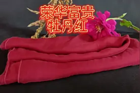 教您染个最鲜艳的牡丹红视频封面
