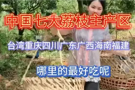 中国7大荔枝种植大省，为何广西荔枝名气那么大！只能排在第二呢视频封面