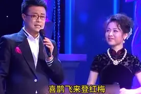 这段黄梅戏马兰扮得真美，白燕升唱得特好，二人真是珠联璧合视频封面
