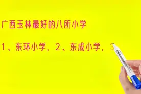 广西玉林最好的八所小学排名视频封面