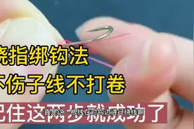 绕指绑钩法，不伤子线不打卷，记住这两步就成功了，一看就会简单视频封面