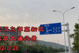 【记录】武汉东湖高新区龙泉山、玉屏大道及一所大学，晴川学院视频封面