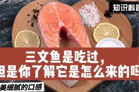 三文鱼都吃过，但是你了解三文鱼是怎么来的吗，三文鱼是一种鱼吗视频封面