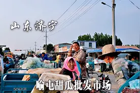 甜瓜之乡济宁喻屯，很多品种可选，批发价才一块多一斤视频封面